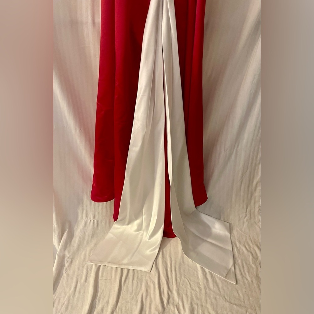 Bill Levkoff Dark Pink and White Formal Dress - Picture 10 of 12